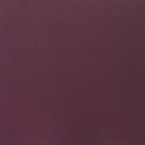 PLUM PES-052