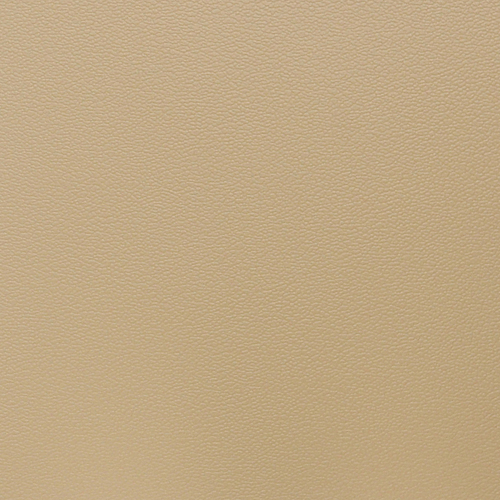 SAND PES-059