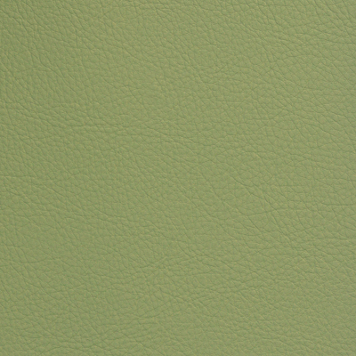 SCALLION SCL-113