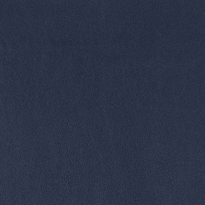 True Blue-WSL-020