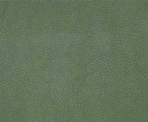 Avocado-TPE-003