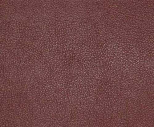 Beet-TPE-004