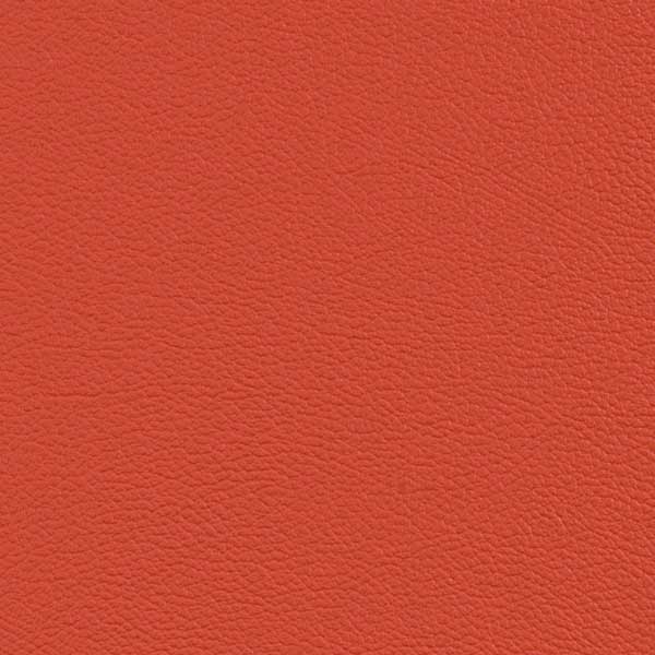 Blood Orange 532626