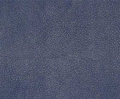 Blueberry-TPE-006