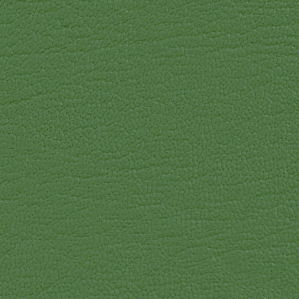 Grass 532618
