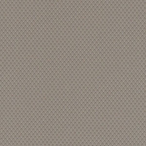 Taupe DIA-076551