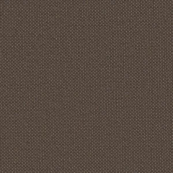 Taupe 522585