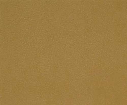 Maize-TPE-016