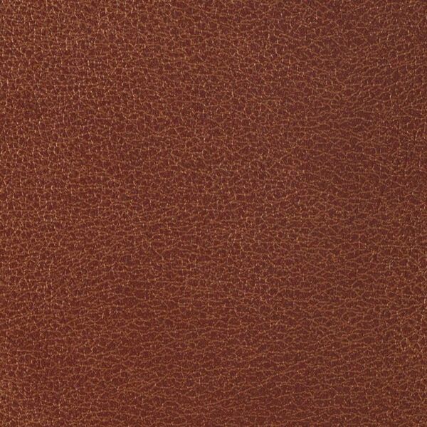 Tigereye WCL-020