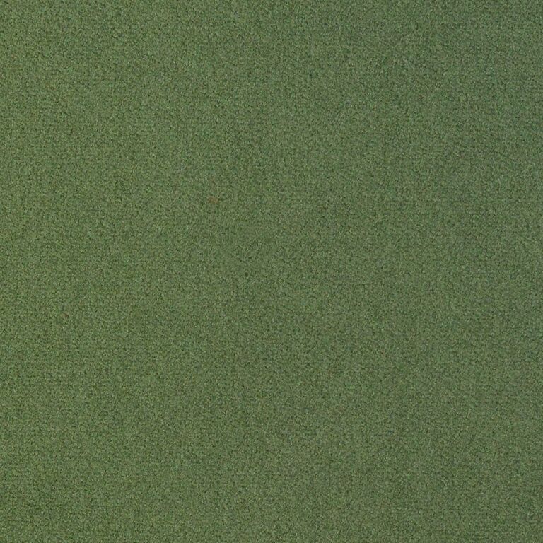 Fern MCVS-13