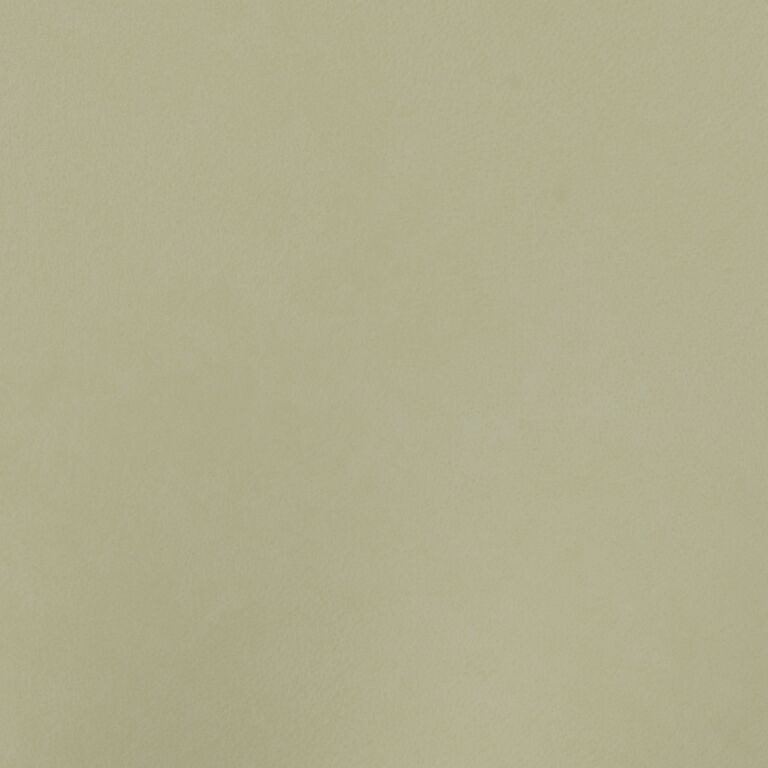 Oyster SSE-017