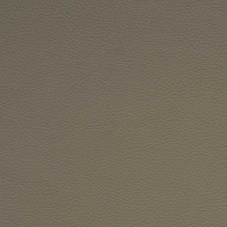 Aniseed-SCL-201