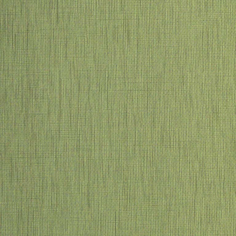 Artichoke WAN-003