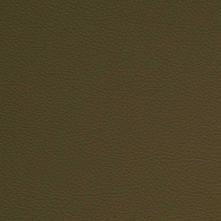 Barley-SCL-203