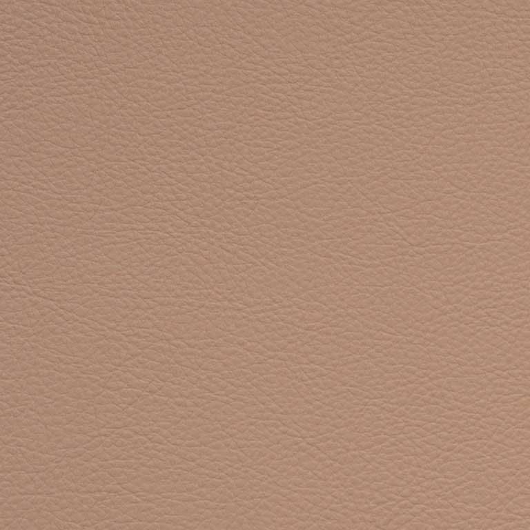Carnation-SCL-206