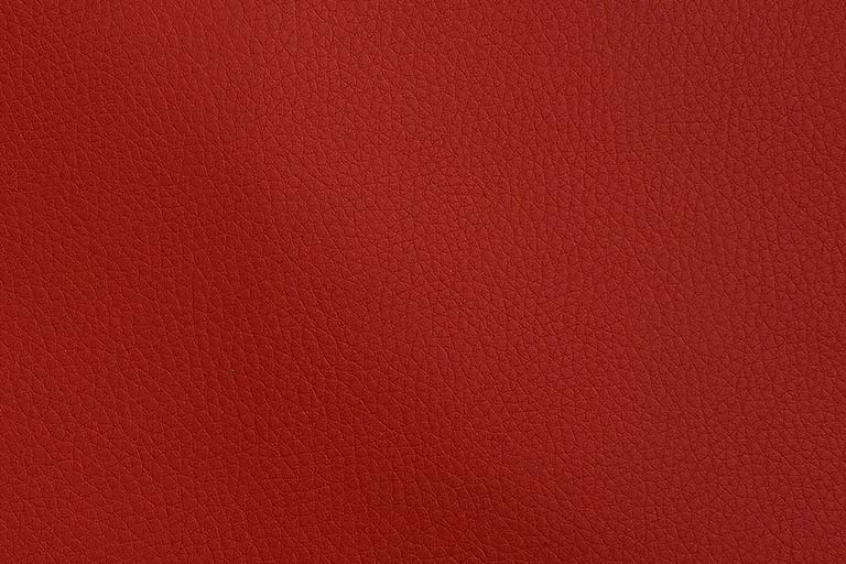 Cherry 310