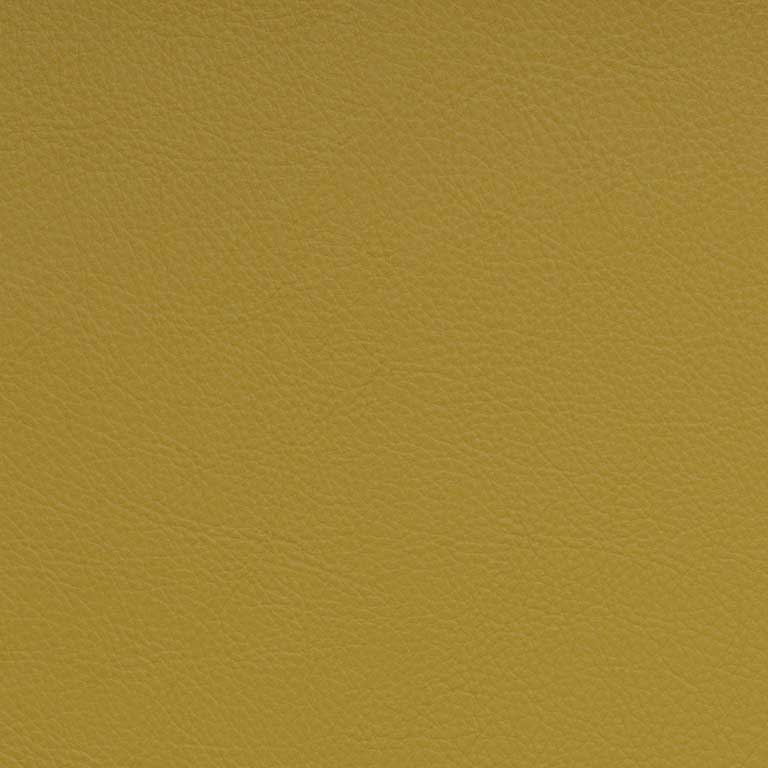 Daffodil-SCL-209