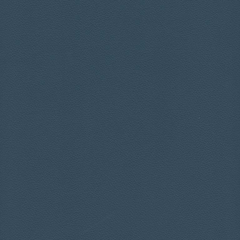 Denim 229