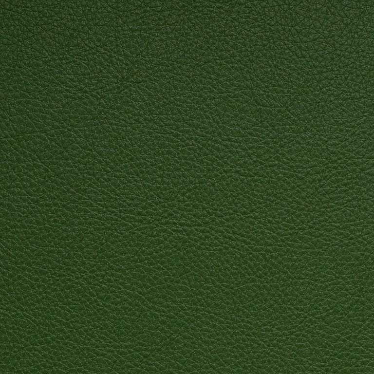 Fern-SCL-210