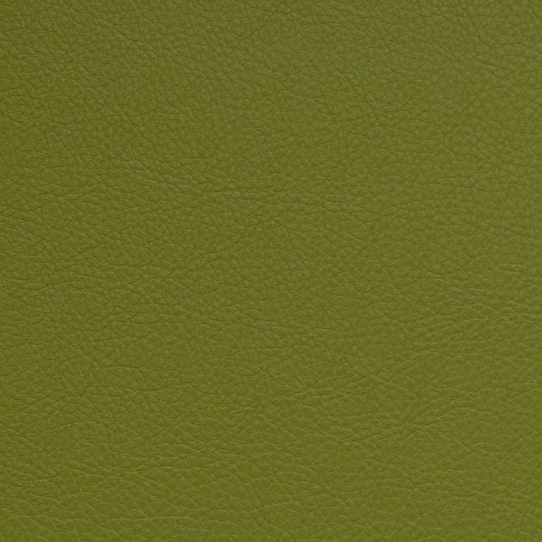 Granny-Smith-SCL-213