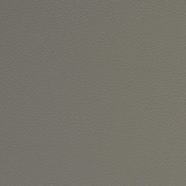 Horizon-SCL-216
