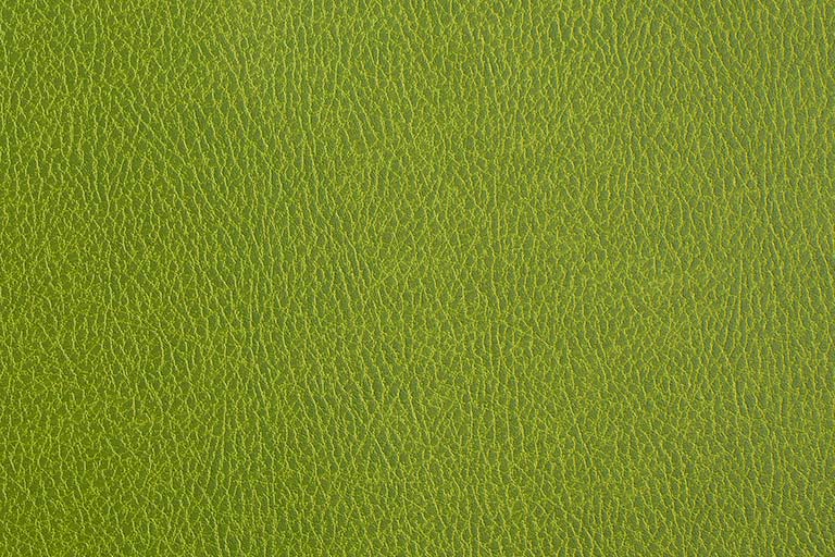 Lime 858