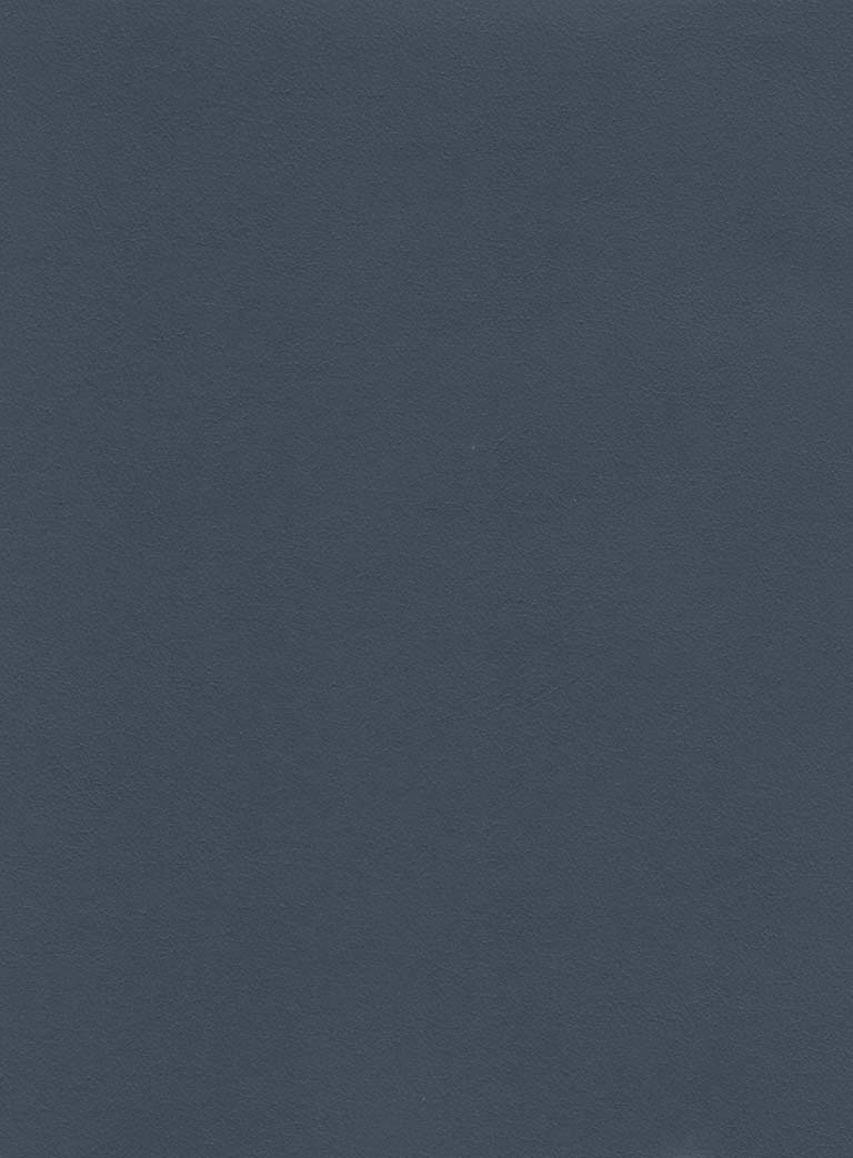 Mist 513