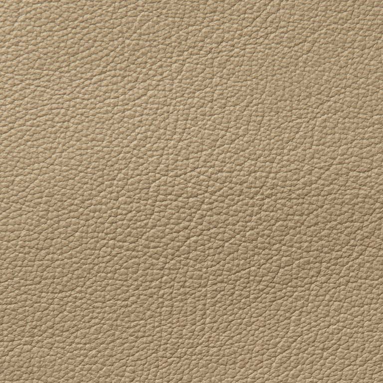 Oats COHCY-9181