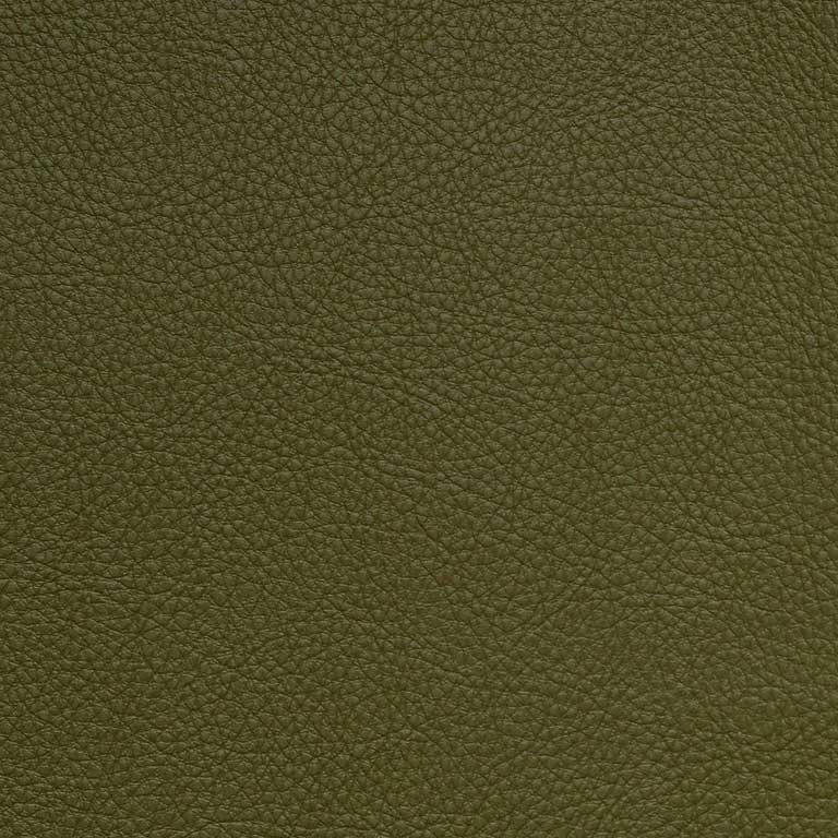 Picholine-SCL-221