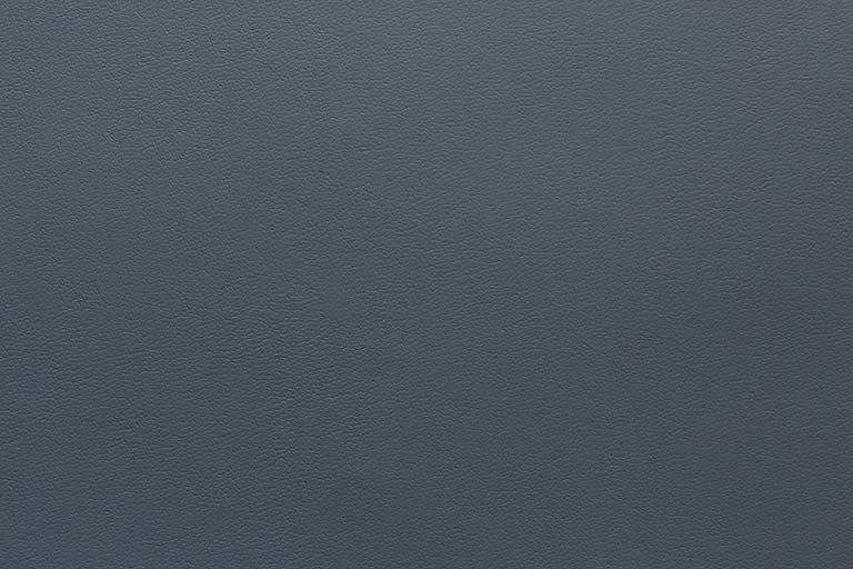 Pigeon 484
