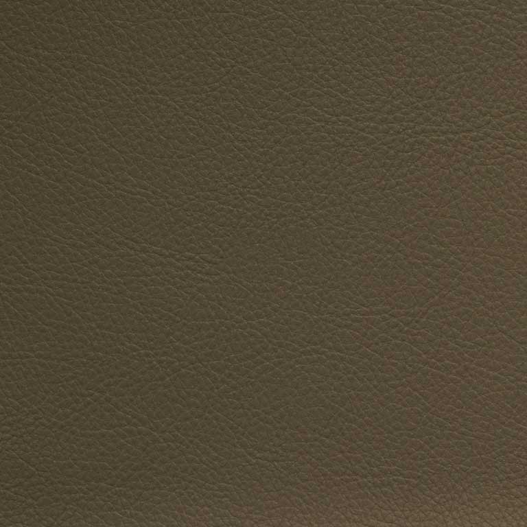 Porcini-SCL-222
