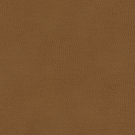 Safari