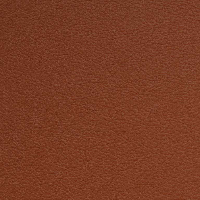 Safflower-SCL-223