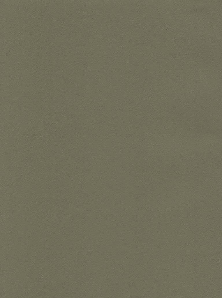 Theory-510 Fern