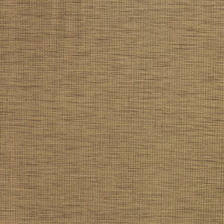 Toffee WAN-022