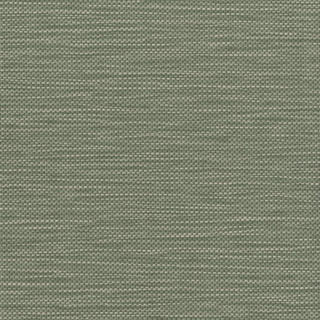 Lichen 539564