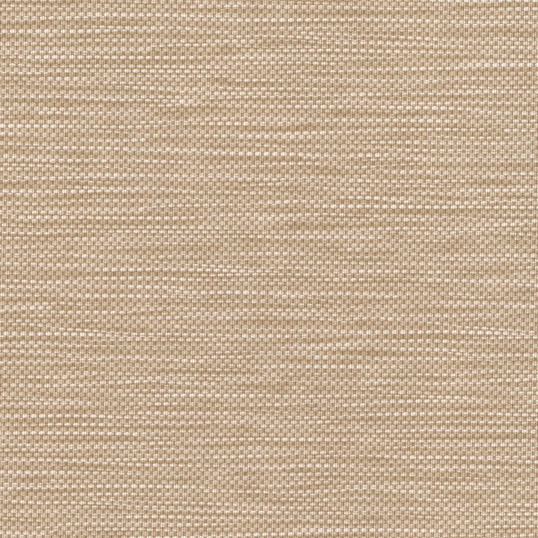 Reed 539573