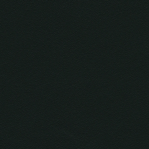 Black 00002
