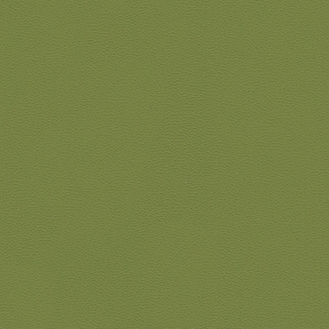 Brown Green 20241