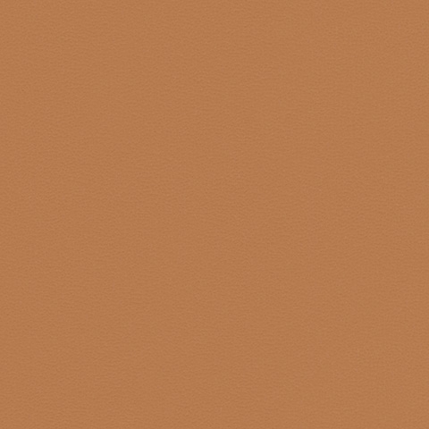 Cinnamon 20236