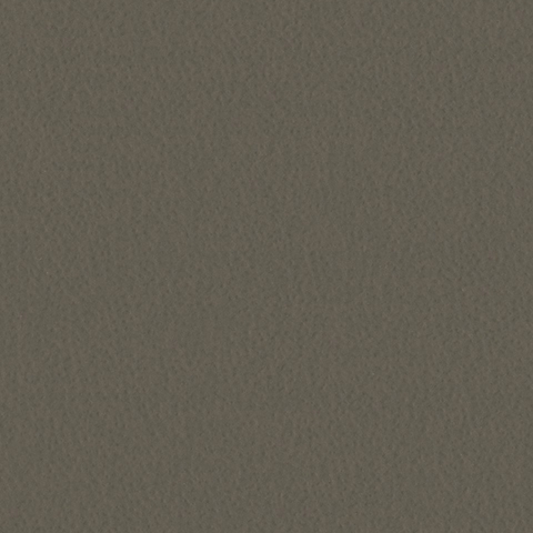 Coffee 5015