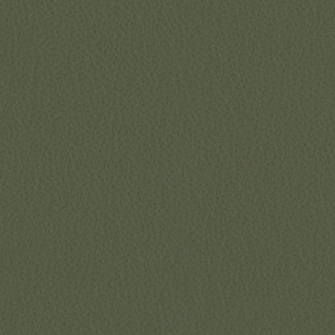 Olive Green 20253