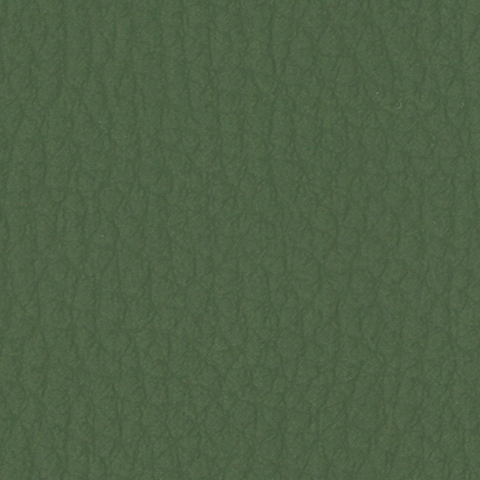 Olive Green 20253P