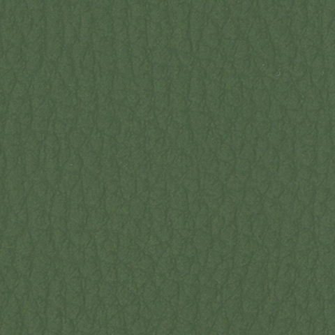 Olive Green 20253P