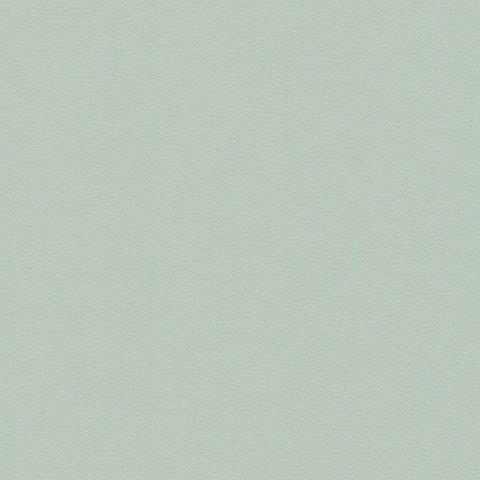Pastel Green 20243