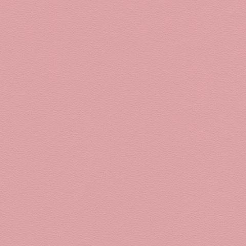 Pink 20242