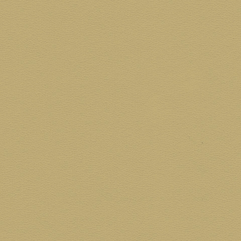 Sand Vanilla 20240