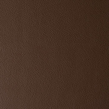 Bark