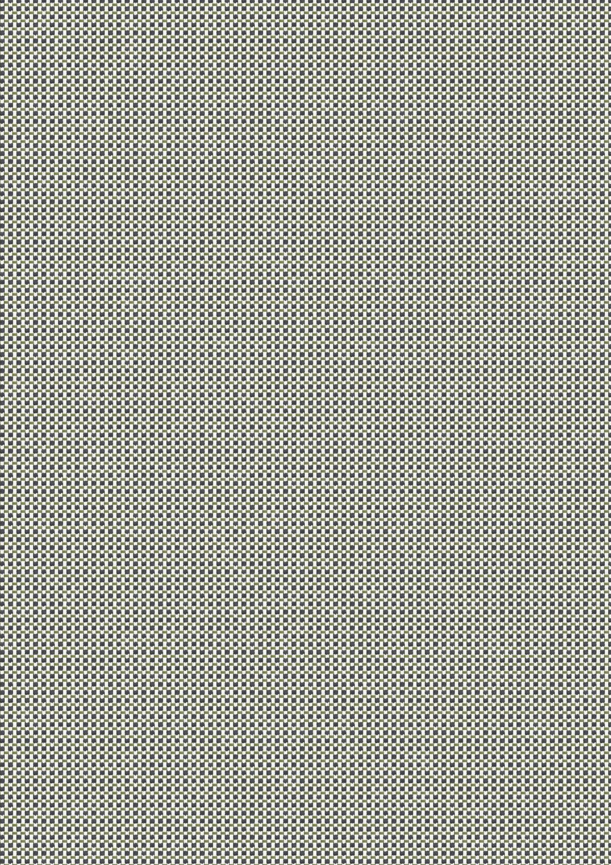 Birch 51042
