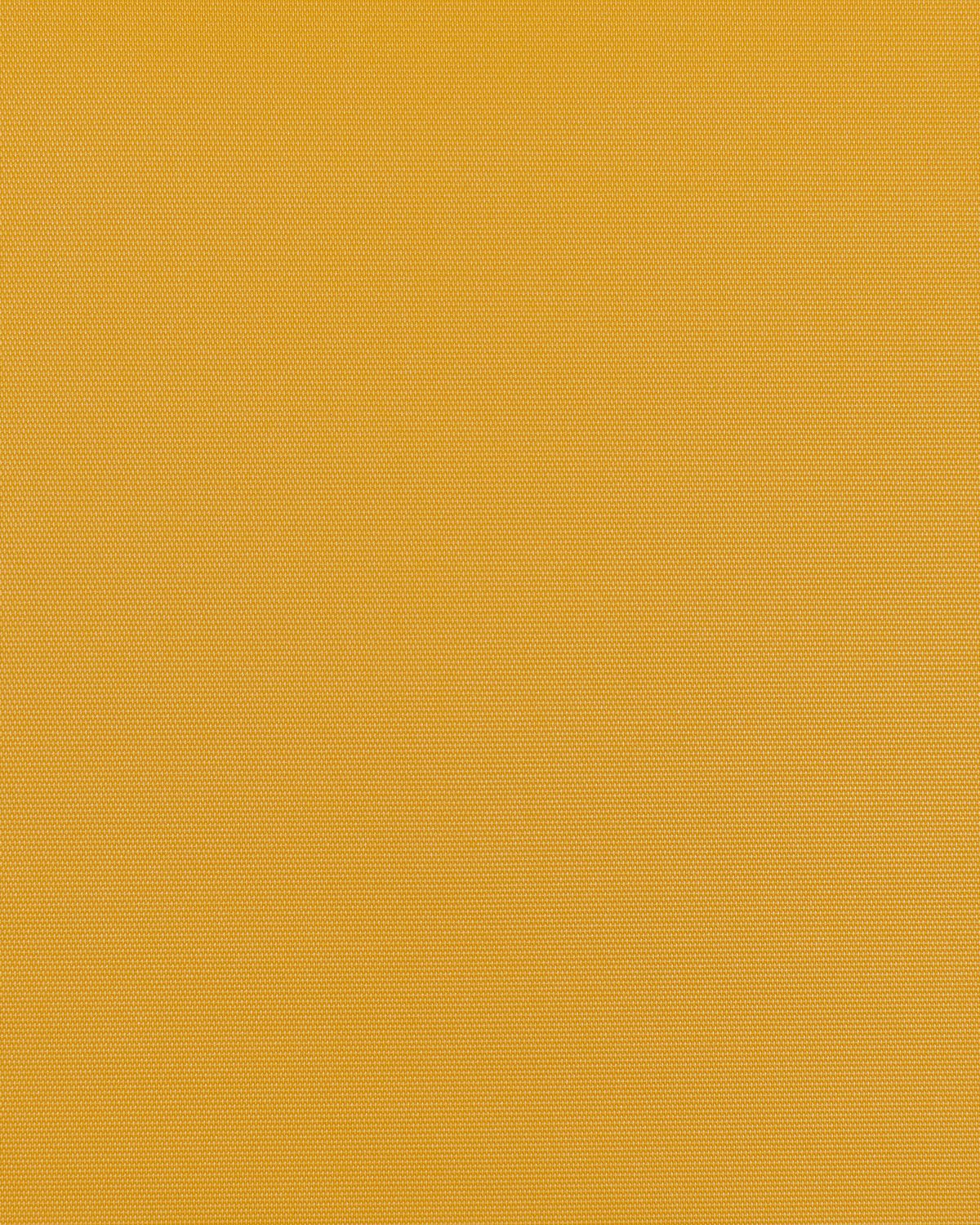 Forsythia SMI-018